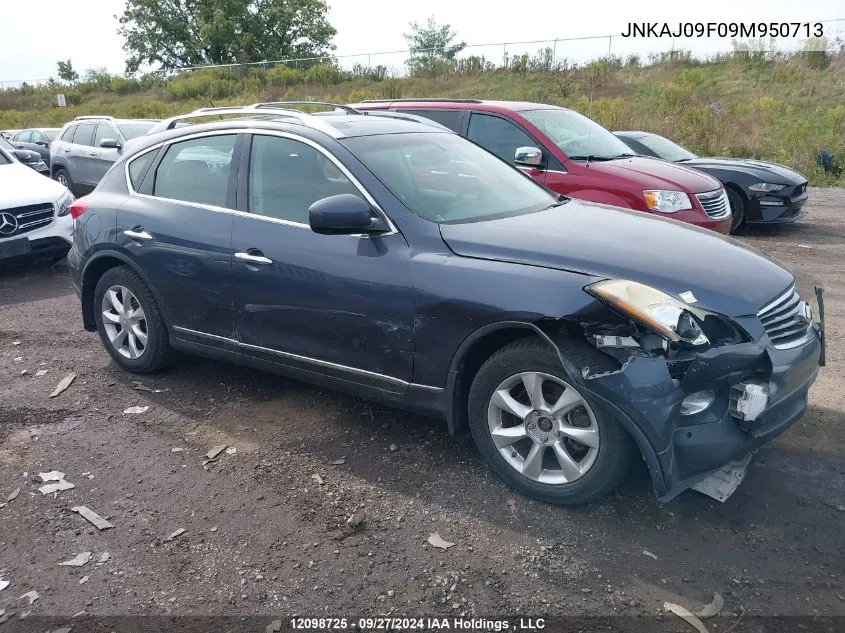 2009 Infiniti Ex35 Journey VIN: JNKAJ09F09M950713 Lot: 12098725