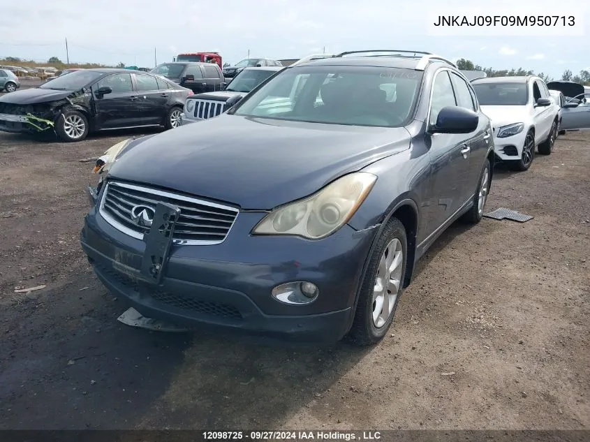 2009 Infiniti Ex35 Journey VIN: JNKAJ09F09M950713 Lot: 12098725