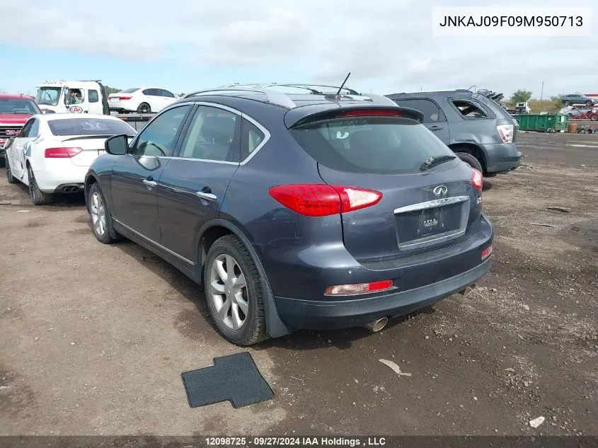 2009 Infiniti Ex35 Journey VIN: JNKAJ09F09M950713 Lot: 12098725