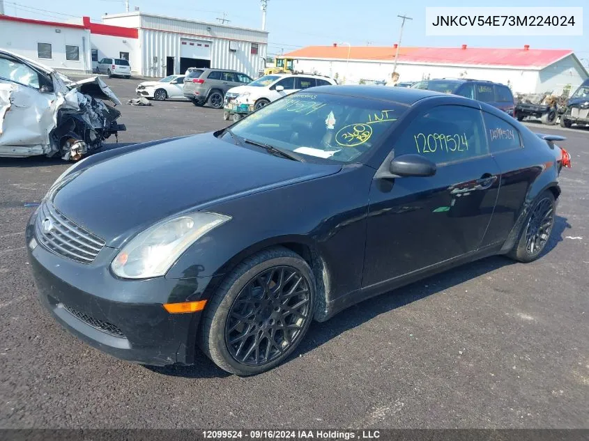 2003 Infiniti G35 VIN: JNKCV54E73M224024 Lot: 12099524