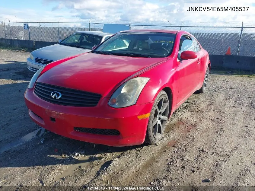 2005 Infiniti G35 VIN: JNKCV54E65M405537 Lot: 12134519