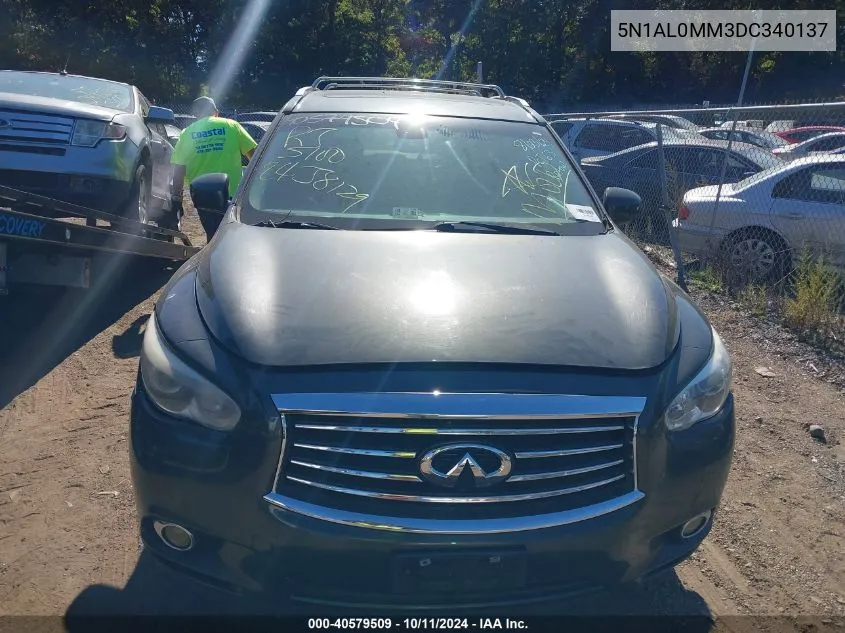 2013 Infiniti Jx35 VIN: 5N1AL0MM3DC340137 Lot: 40579509