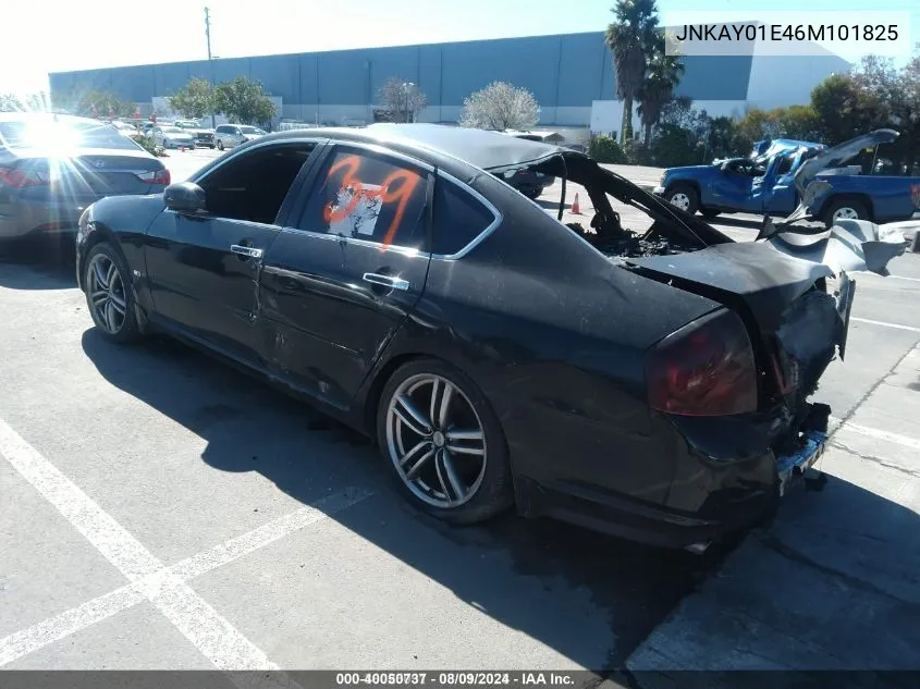 2006 Infiniti M35 Sport VIN: JNKAY01E46M101825 Lot: 40050737