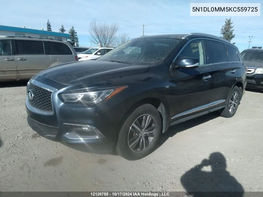 2019 Infiniti Qx60 VIN: 5N1DL0MM5KC559725 Lot: 12120755