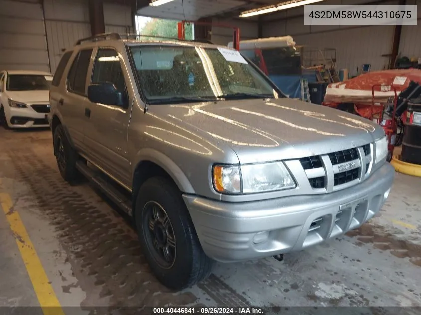 2004 Isuzu Rodeo S 3.2L V6 VIN: 4S2DM58W544310675 Lot: 40446841