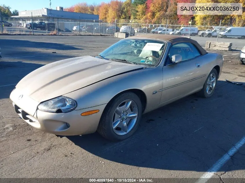 1999 Jaguar Xk8 VIN: SAJGX204XXC036250 Lot: 40597540