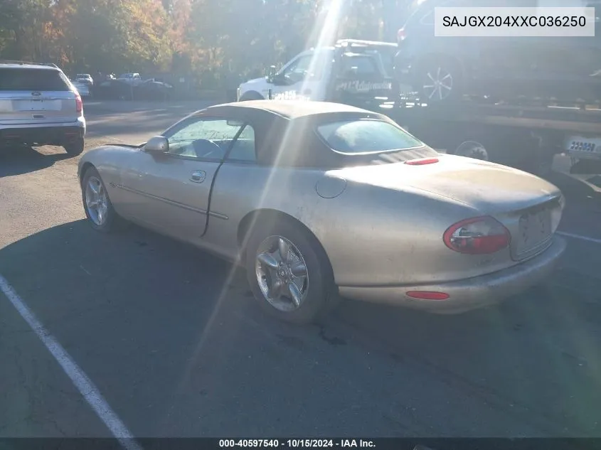 1999 Jaguar Xk8 VIN: SAJGX204XXC036250 Lot: 40597540