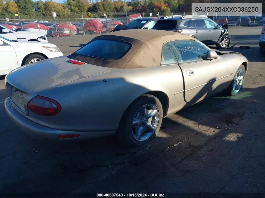 1999 Jaguar Xk8 VIN: SAJGX204XXC036250 Lot: 40597540