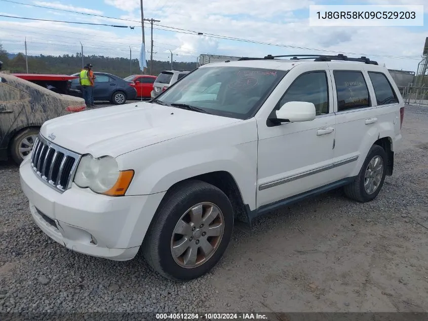 2009 Jeep Grand Cherokee Limited VIN: 1J8GR58K09C529203 Lot: 40512284