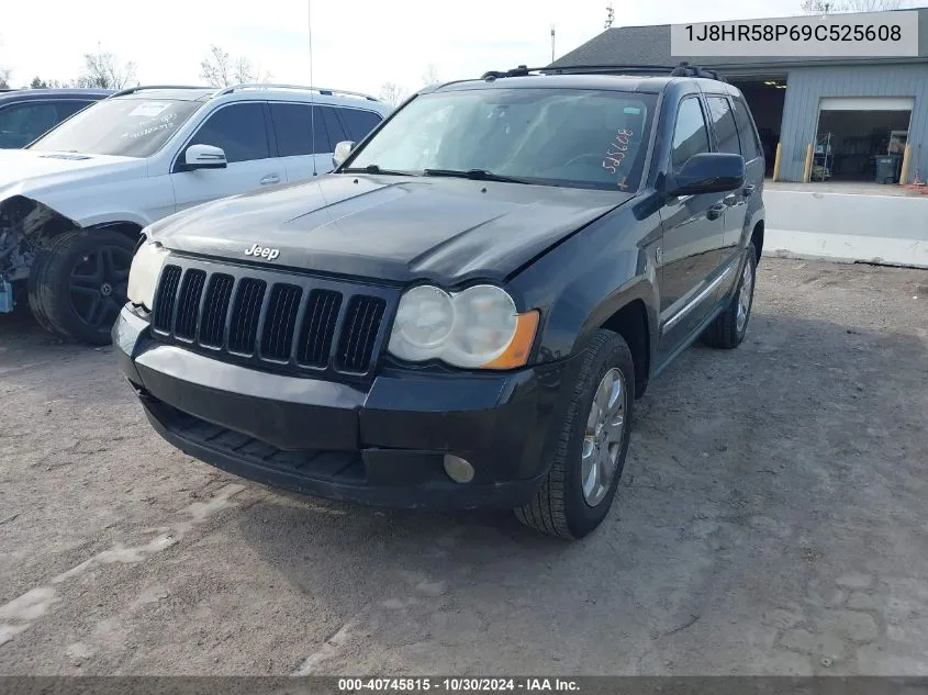 2009 Jeep Grand Cherokee Limited VIN: 1J8HR58P69C525608 Lot: 40745815