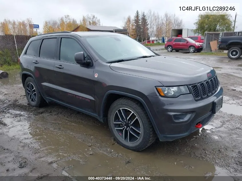 2020 Jeep Grand Cherokee Trailhawk 4X4 VIN: 1C4RJFLG1LC289246 Lot: 40373448