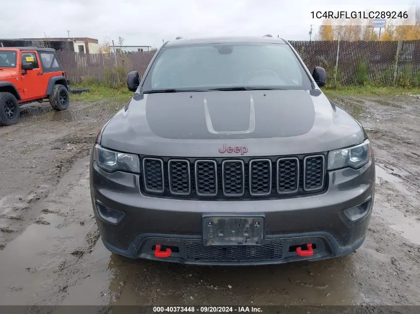 2020 Jeep Grand Cherokee Trailhawk 4X4 VIN: 1C4RJFLG1LC289246 Lot: 40373448