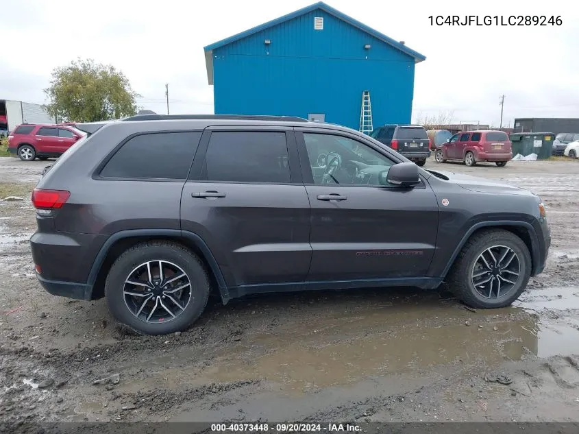 2020 Jeep Grand Cherokee Trailhawk 4X4 VIN: 1C4RJFLG1LC289246 Lot: 40373448