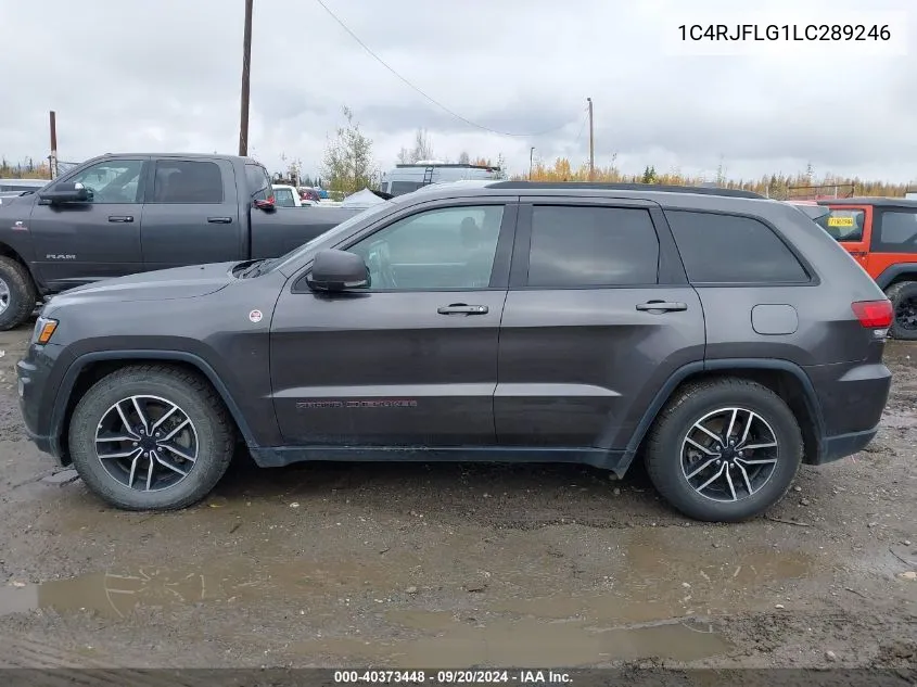 2020 Jeep Grand Cherokee Trailhawk 4X4 VIN: 1C4RJFLG1LC289246 Lot: 40373448