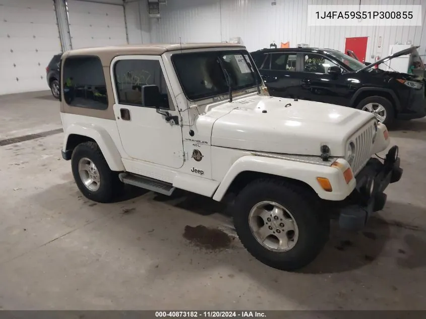 2001 Jeep Wrangler Sahara VIN: 1J4FA59S51P300855 Lot: 40873182