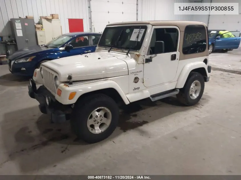 2001 Jeep Wrangler Sahara VIN: 1J4FA59S51P300855 Lot: 40873182