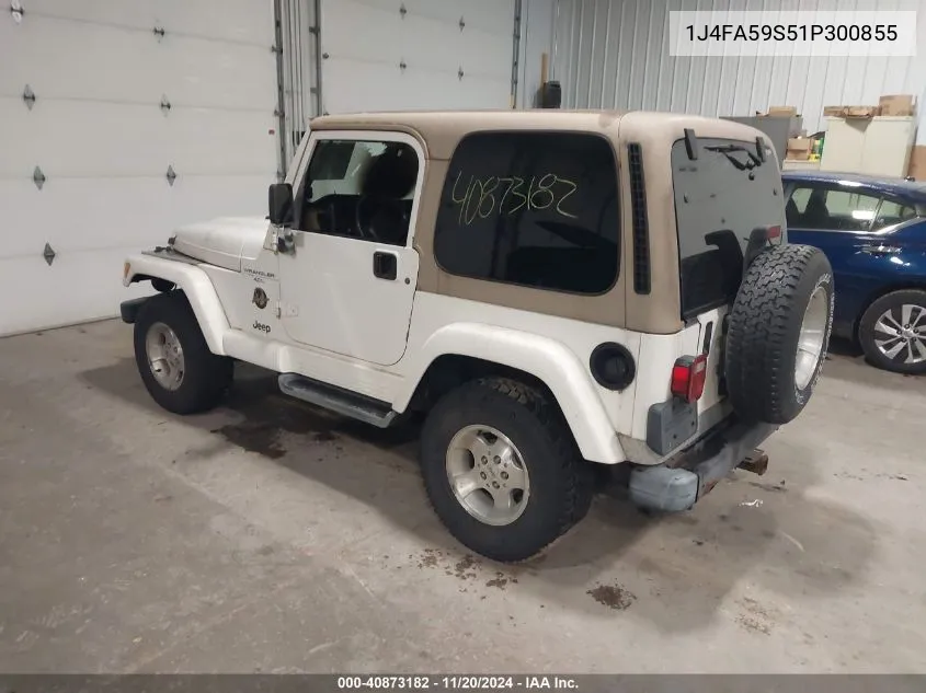 2001 Jeep Wrangler Sahara VIN: 1J4FA59S51P300855 Lot: 40873182