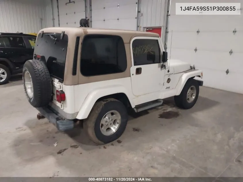 2001 Jeep Wrangler Sahara VIN: 1J4FA59S51P300855 Lot: 40873182