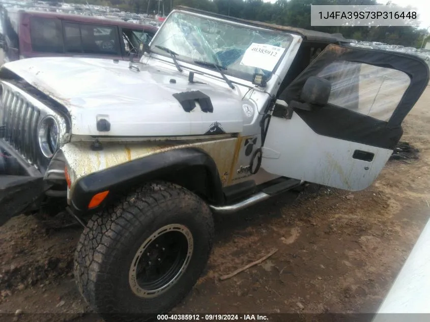 2003 Jeep Wrangler X VIN: 1J4FA39S73P316448 Lot: 40385912