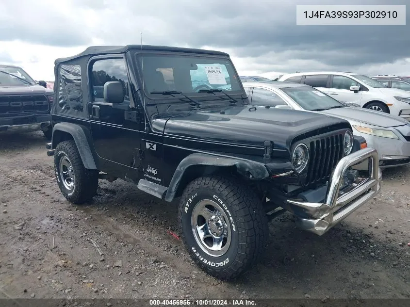 2003 Jeep Wrangler Commando/X VIN: 1J4FA39S93P302910 Lot: 40456956