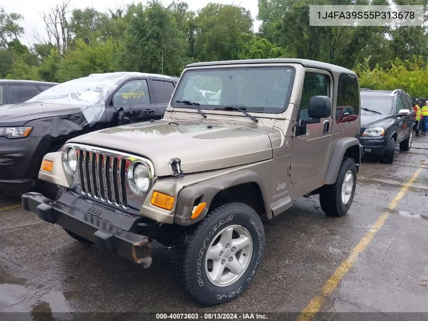 2005 Jeep Wrangler X VIN: 1J4FA39S55P313678 Lot: 40073603