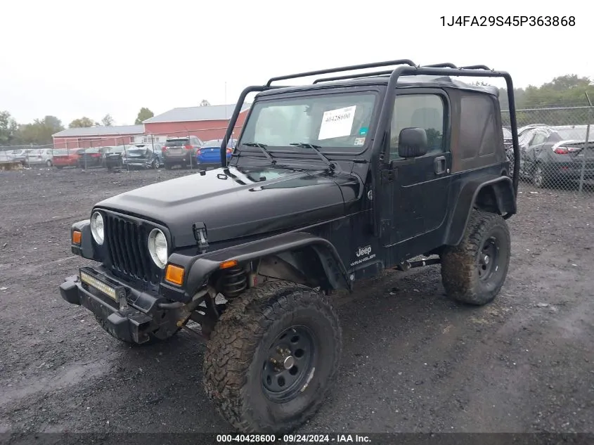 2005 Jeep Wrangler Se VIN: 1J4FA29S45P363868 Lot: 40428600