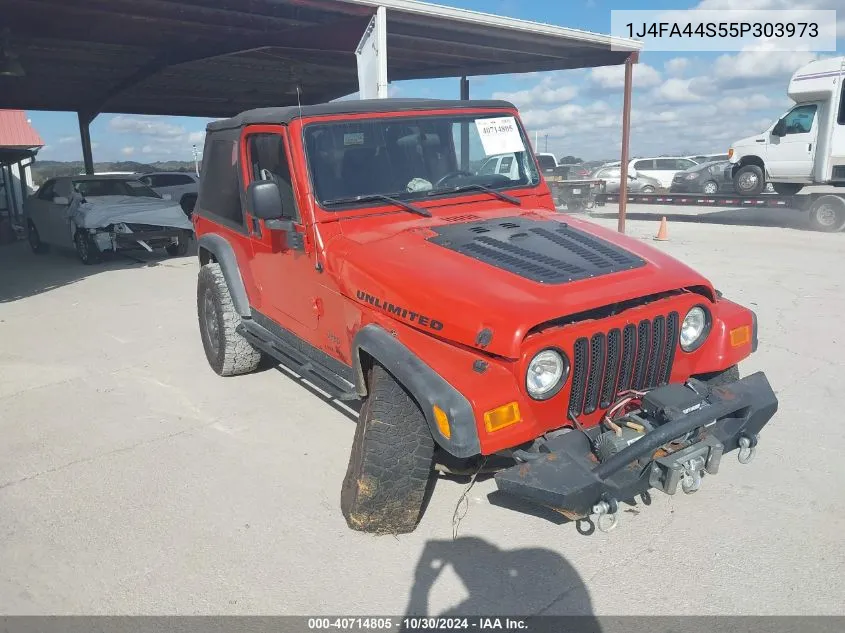 2005 Jeep Wrangler Unlimited VIN: 1J4FA44S55P303973 Lot: 40714805