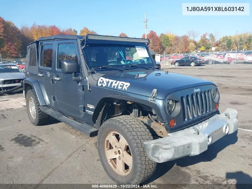 2008 Jeep Wrangler Unlimited Sahara VIN: 1J8GA591X8L603142 Lot: 40665629