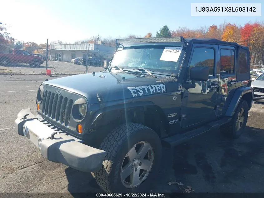 2008 Jeep Wrangler Unlimited Sahara VIN: 1J8GA591X8L603142 Lot: 40665629