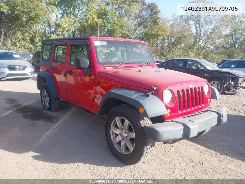 2009 Jeep Wrangler Unlimited X VIN: 1J4GZ391X9L709705 Lot: 40563109