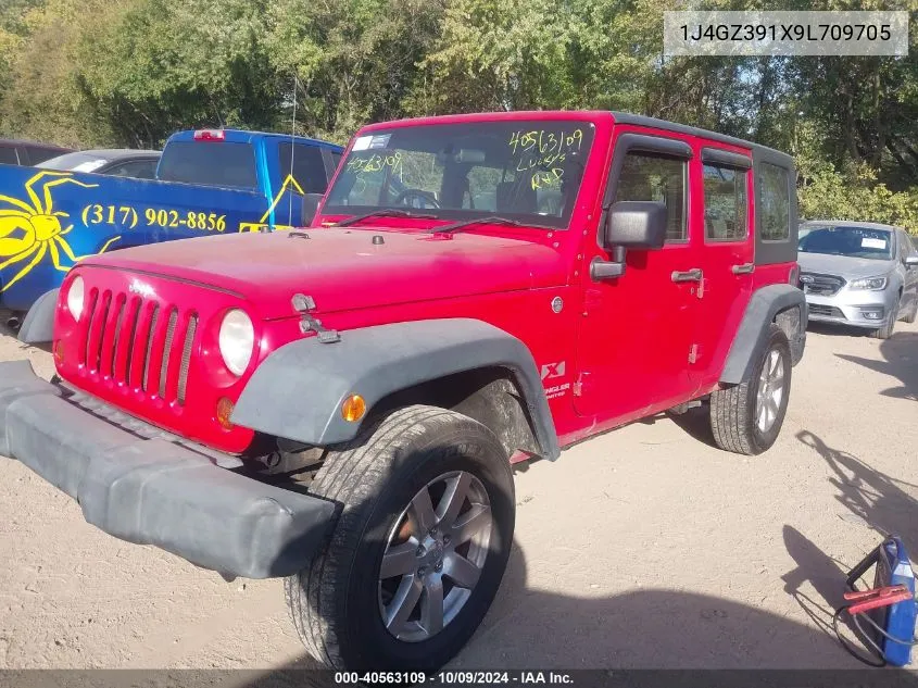 2009 Jeep Wrangler Unlimited X VIN: 1J4GZ391X9L709705 Lot: 40563109