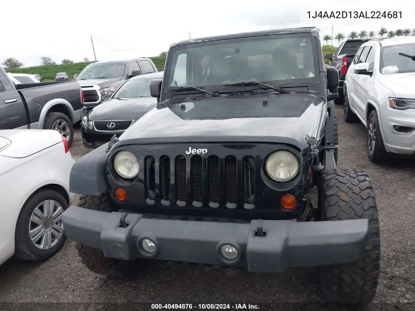 2010 Jeep Wrangler Sport VIN: 1J4AA2D13AL224681 Lot: 40494876