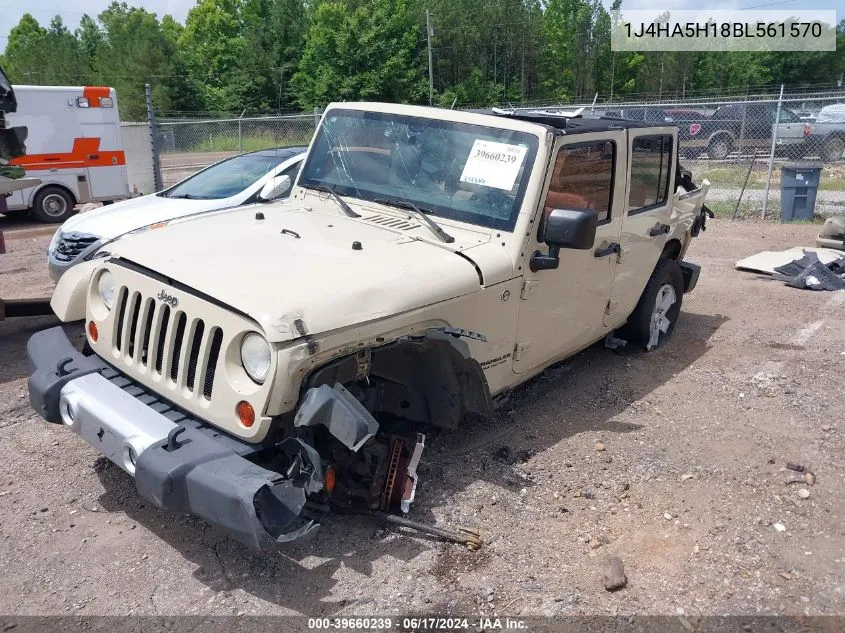 2011 Jeep Wrangler Unlimited Sahara VIN: 1J4HA5H18BL561570 Lot: 39660239