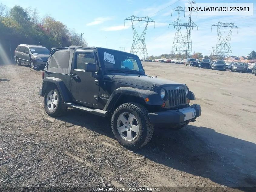 2012 Jeep Wrangler Sahara VIN: 1C4AJWBG8CL229981 Lot: 40730535