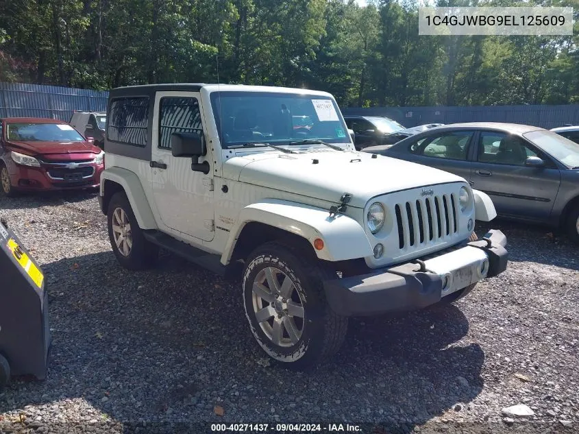 2014 Jeep Wrangler Sahara VIN: 1C4GJWBG9EL125609 Lot: 40271437