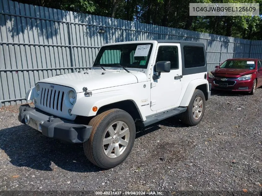 2014 Jeep Wrangler Sahara VIN: 1C4GJWBG9EL125609 Lot: 40271437