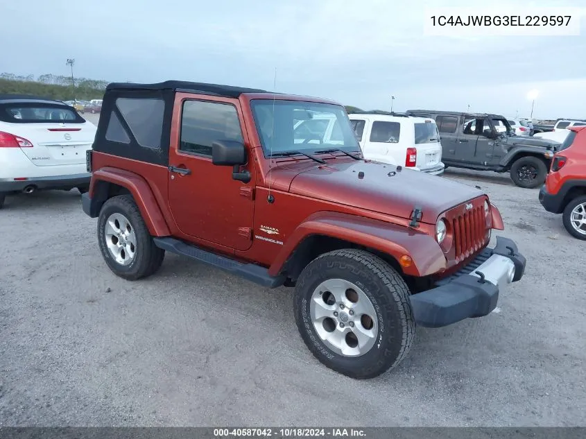 2014 Jeep Wrangler Sahara VIN: 1C4AJWBG3EL229597 Lot: 40587042