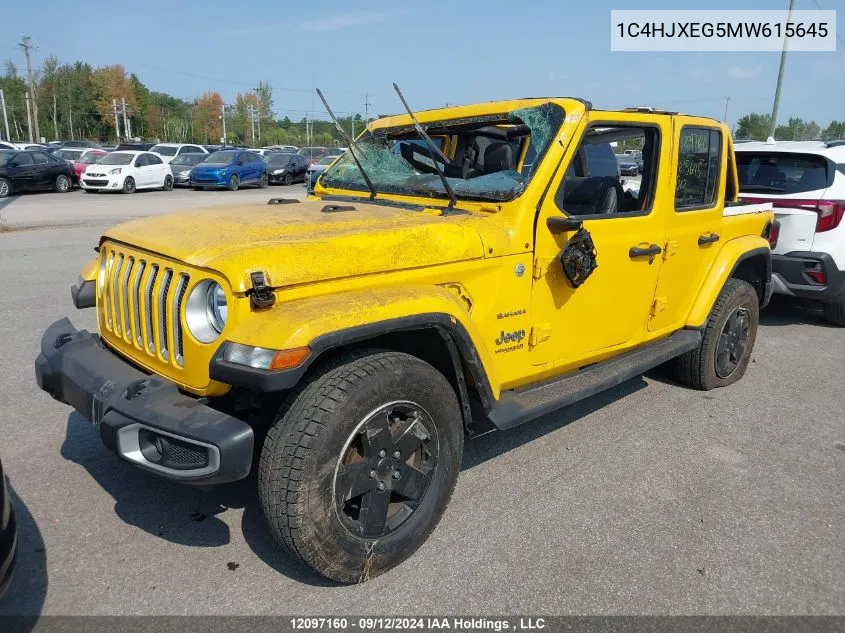 2021 Jeep Wrangler Unlimited Sahara VIN: 1C4HJXEG5MW615645 Lot: 12097160