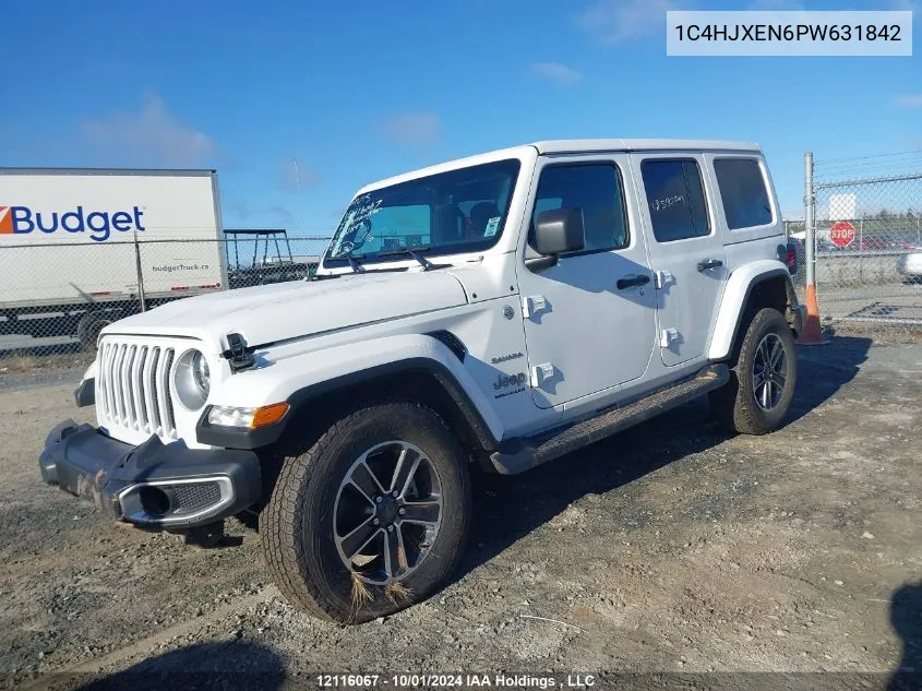 2023 Jeep Wrangler Sahara VIN: 1C4HJXEN6PW631842 Lot: 12116067