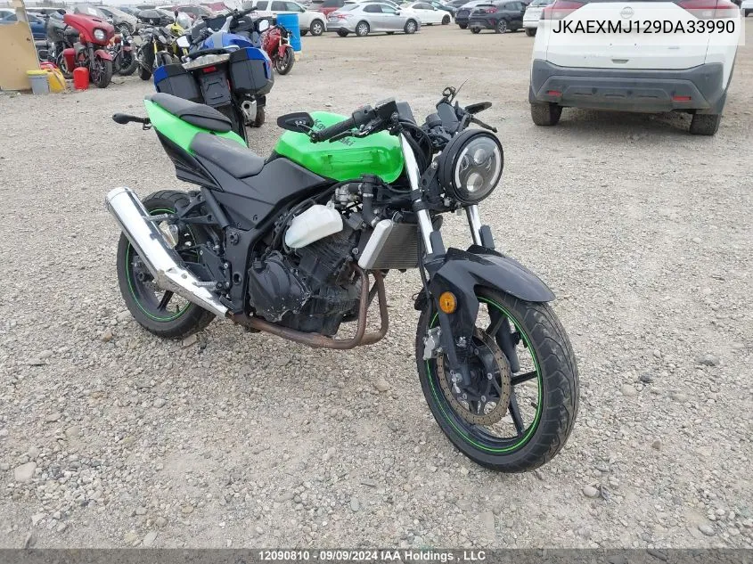 2009 Kawasaki Ex250 J VIN: JKAEXMJ129DA33990 Lot: 12090810