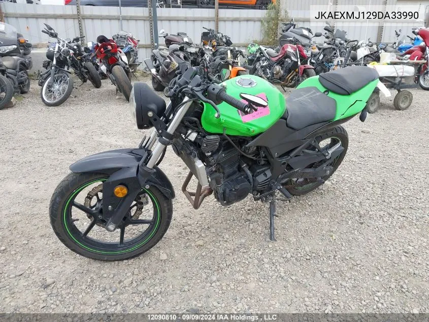 2009 Kawasaki Ex250 J VIN: JKAEXMJ129DA33990 Lot: 12090810