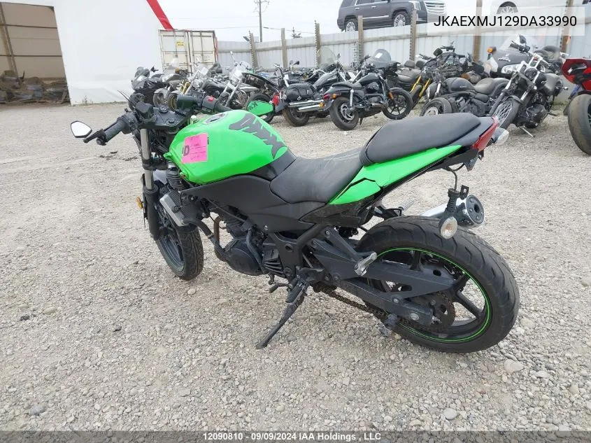 2009 Kawasaki Ex250 J VIN: JKAEXMJ129DA33990 Lot: 12090810