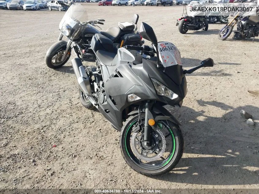 2023 Kawasaki Ex400 VIN: JKAEXKG18PDAK3067 Lot: 40634788