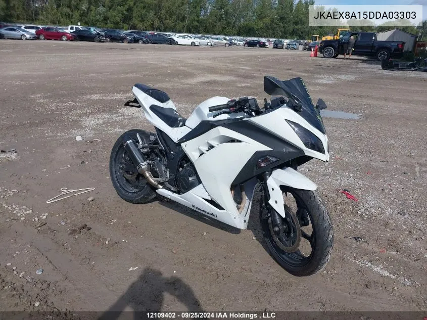 2013 Kawasaki Ex300 A VIN: JKAEX8A15DDA03303 Lot: 12109402