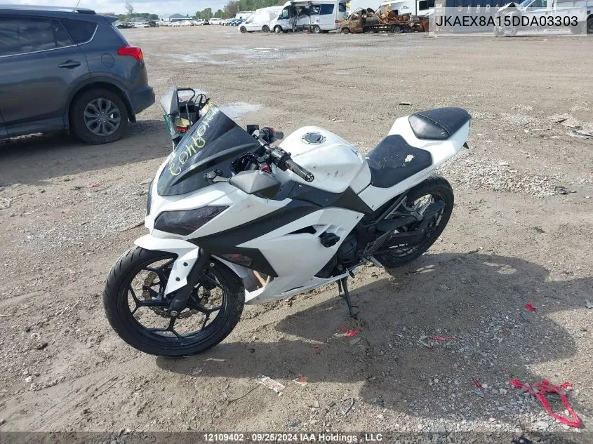 2013 Kawasaki Ex300 A VIN: JKAEX8A15DDA03303 Lot: 12109402