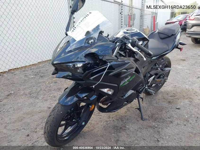 2024 Kawasaki Ex500 H VIN: ML5EXGH16RDA23650 Lot: 40536904