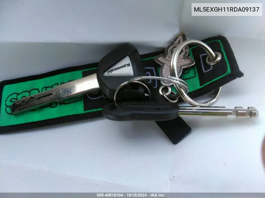 2024 Kawasaki Ex500 H VIN: ML5EXGH11RDA09137 Lot: 40616104