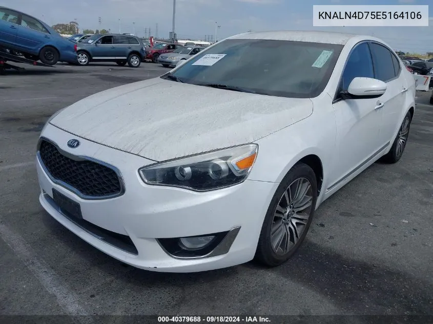 2014 Kia Cadenza Premium VIN: KNALN4D75E5164106 Lot: 40379688