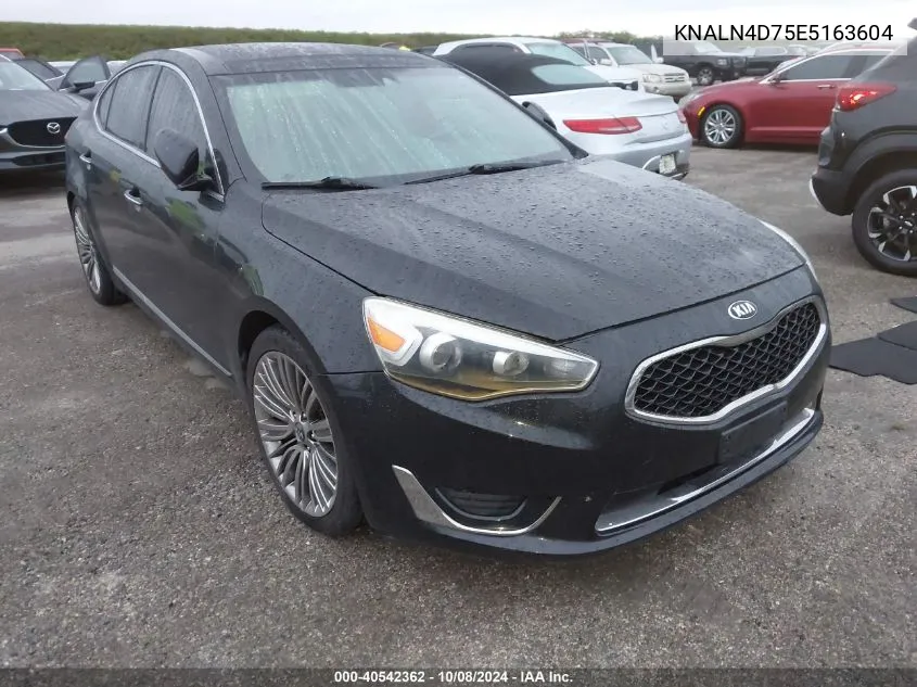 2014 Kia Cadenza Limited VIN: KNALN4D75E5163604 Lot: 40542362