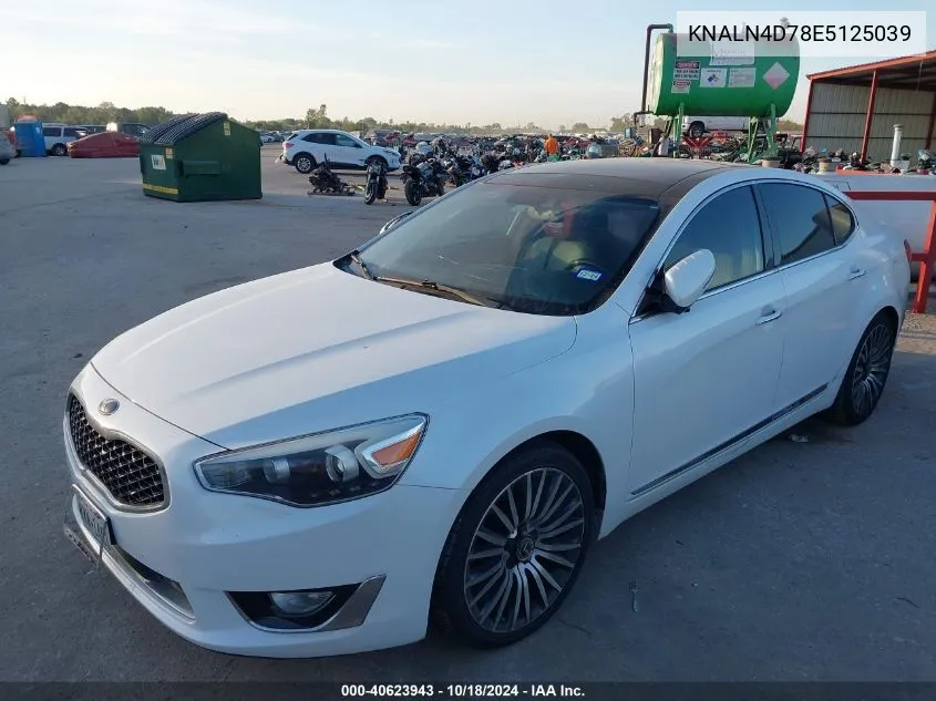 2014 Kia Cadenza Premium VIN: KNALN4D78E5125039 Lot: 40623943